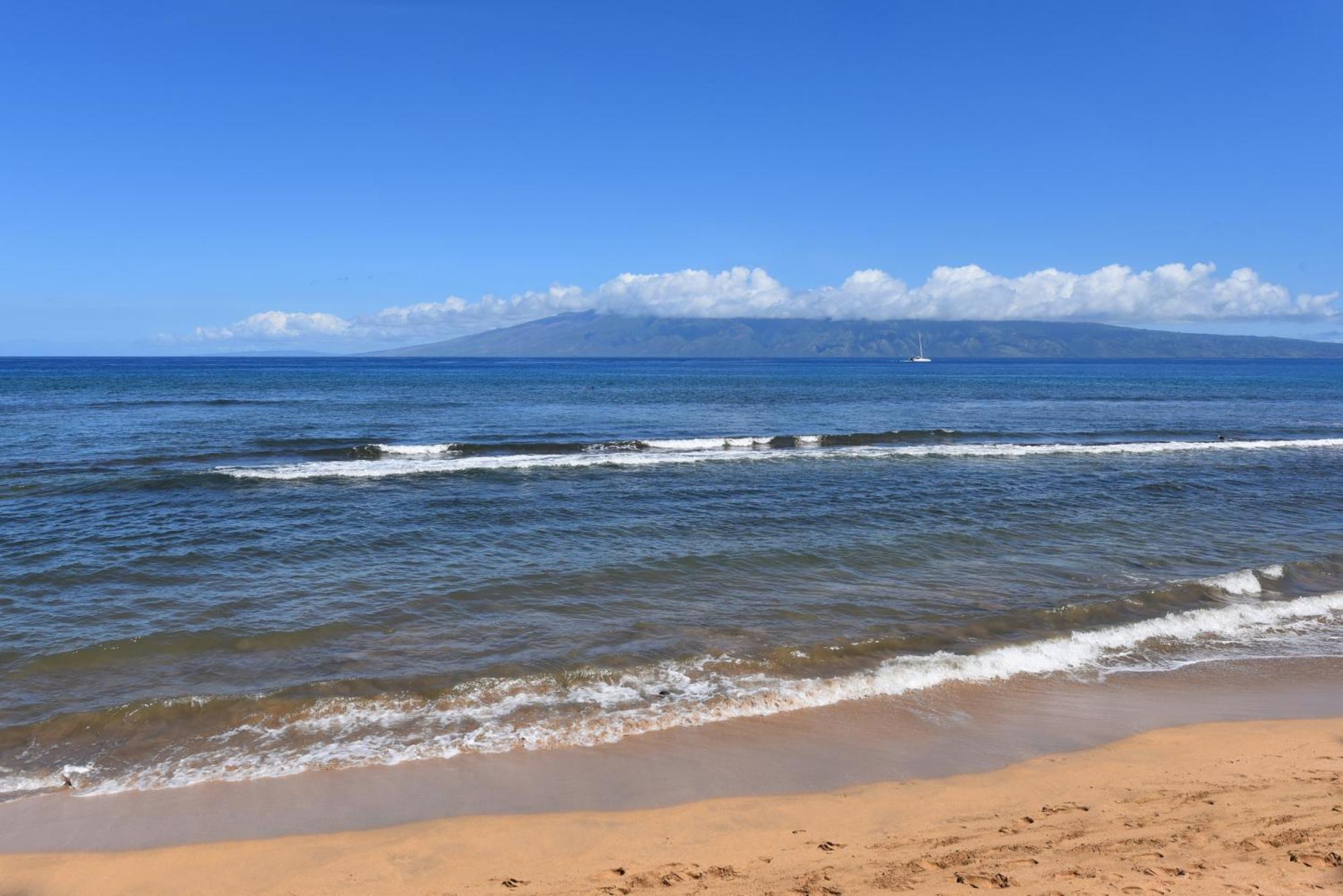 Kaanapali Shores 160 - Sleep Steps Away From The Ocean Kahana Luaran gambar