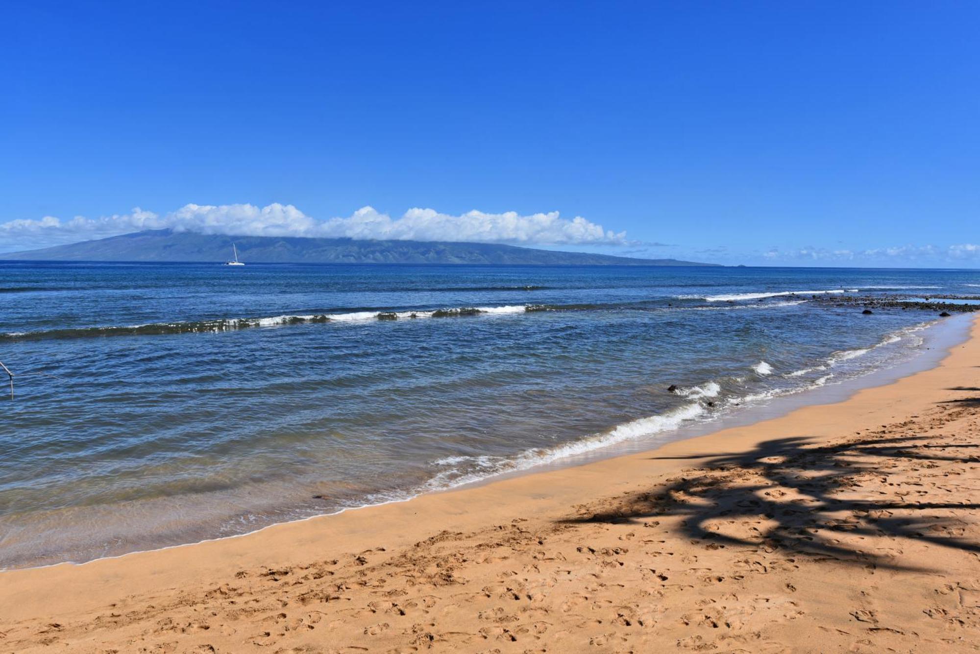 Kaanapali Shores 160 - Sleep Steps Away From The Ocean Kahana Luaran gambar